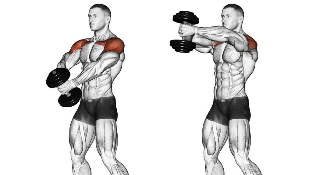 how to workout your shoulders