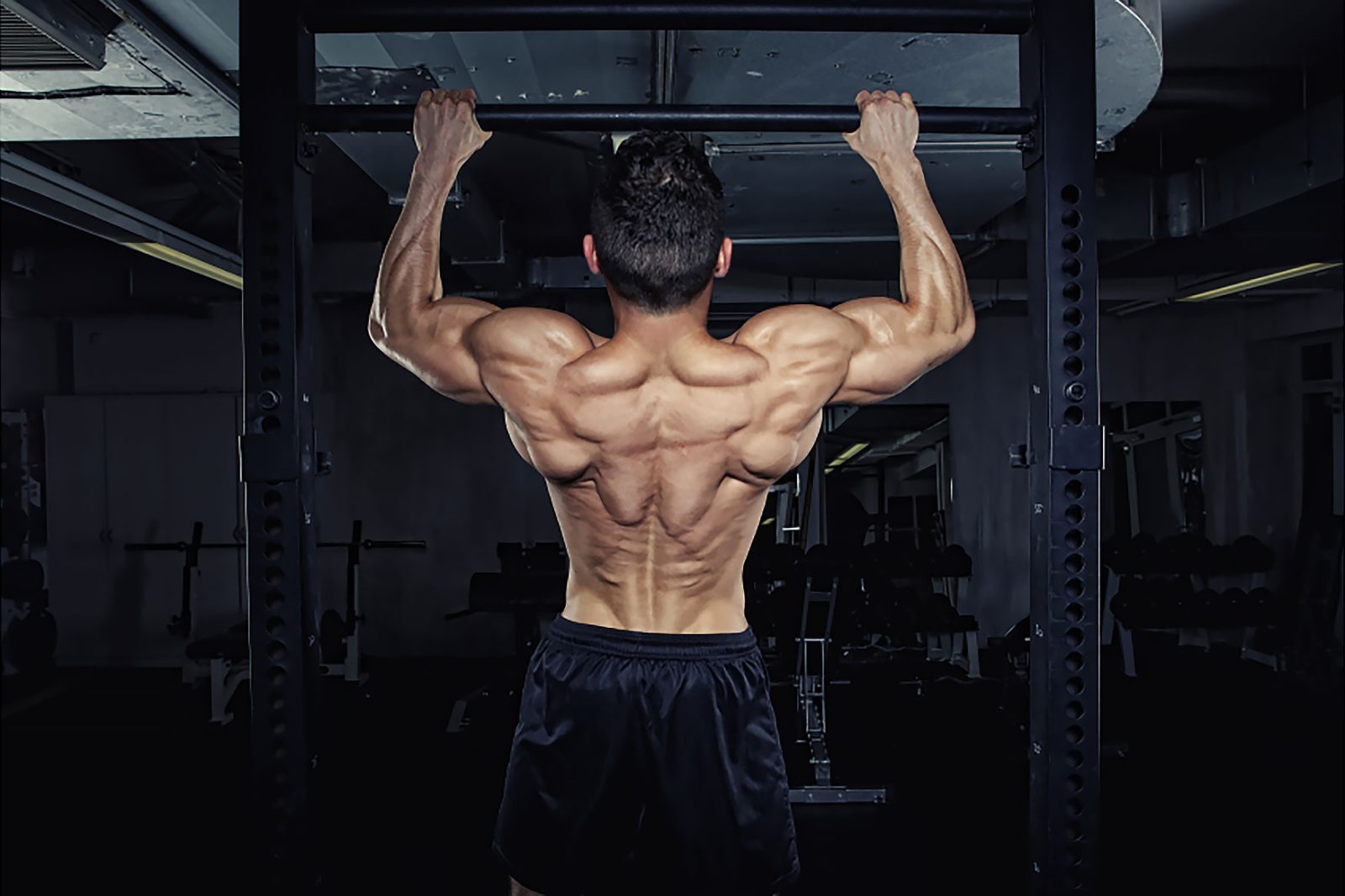 how to workout your back